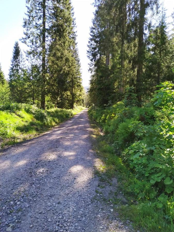 Ferienwohnung Feldberg - Residenz Grafenmatt Kültér fotó