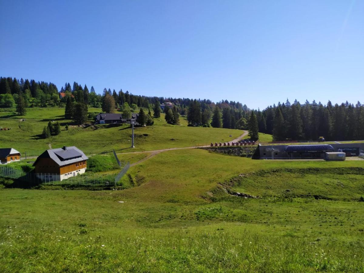 Ferienwohnung Feldberg - Residenz Grafenmatt Kültér fotó
