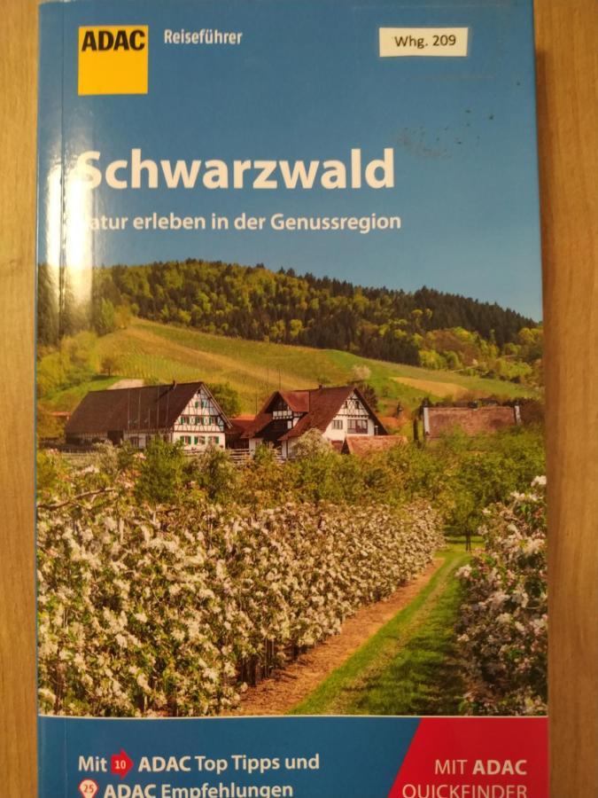 Ferienwohnung Feldberg - Residenz Grafenmatt Kültér fotó
