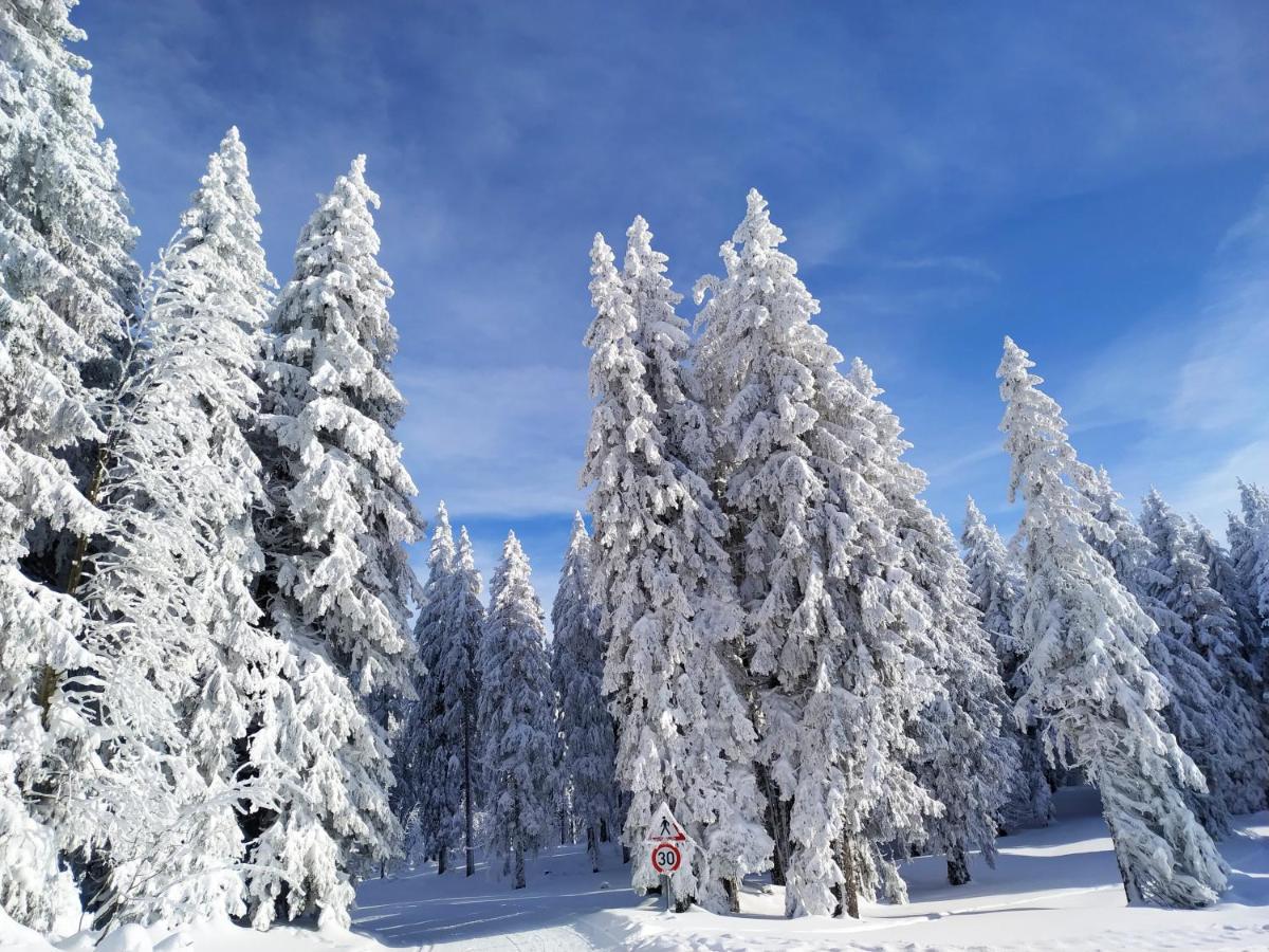Ferienwohnung Feldberg - Residenz Grafenmatt Kültér fotó