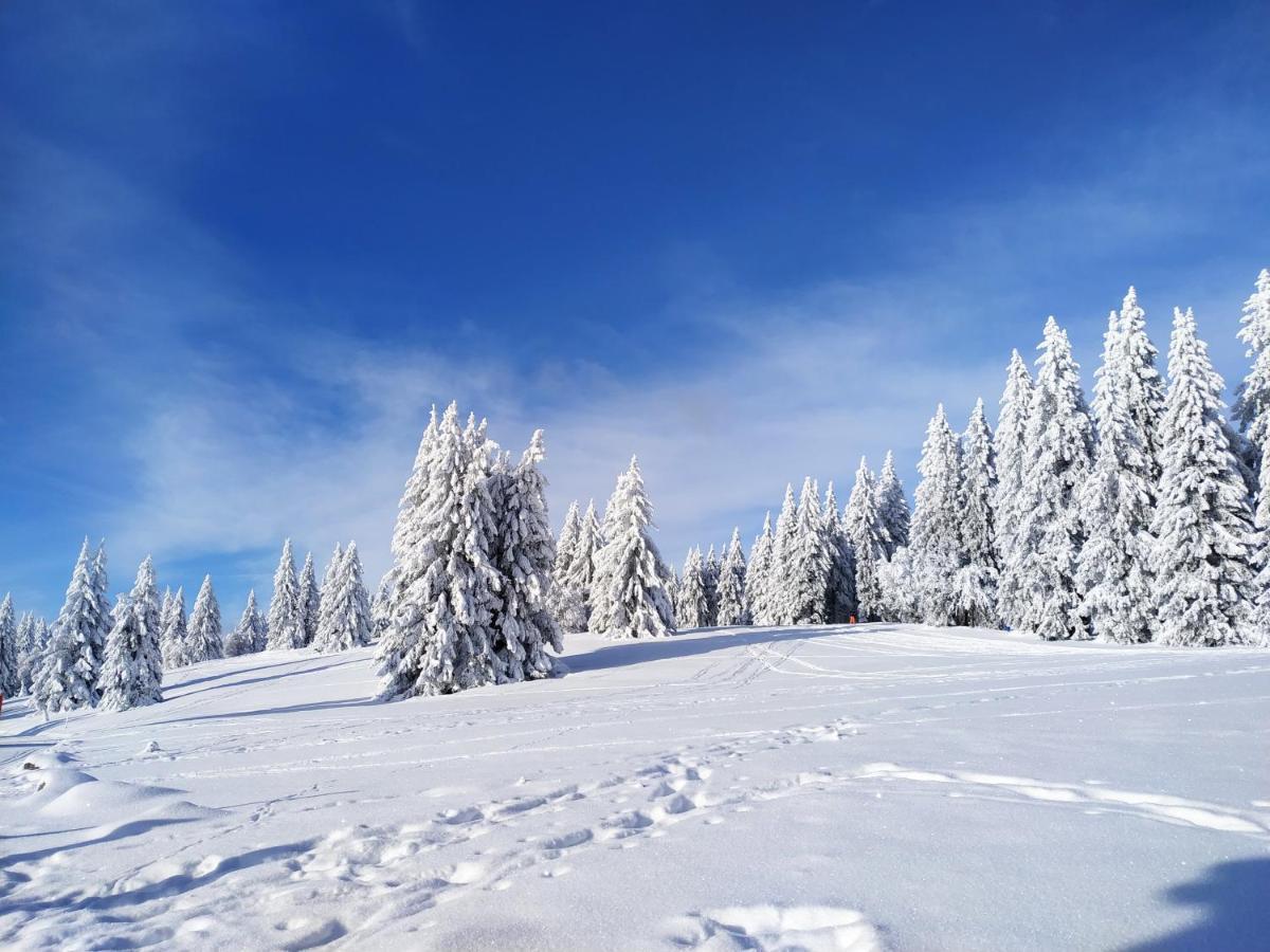 Ferienwohnung Feldberg - Residenz Grafenmatt Kültér fotó