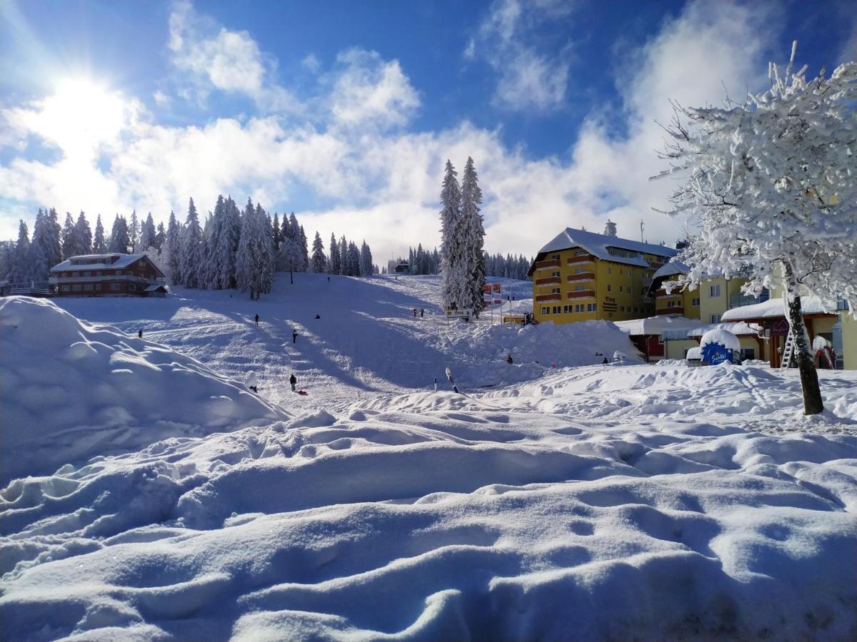 Ferienwohnung Feldberg - Residenz Grafenmatt Kültér fotó